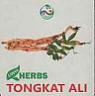 LWH HERBS TONGKAT ALI (and logo) trademark logo
