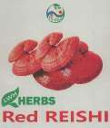 LWH HERBS RED REISHI (and logo) trademark logo