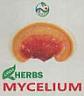 LWH HERBS MYCELIUM (and logo) trademark logo
