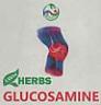 LWH HERBS GLUCOSAMINE (and logo) trademark logo