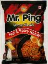MR. PING (and logo) trademark logo