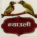 NYAULI (and logo) trademark logo
