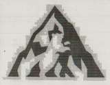 DEVICE MARK trademark logo