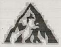 DEVICE MARK trademark logo