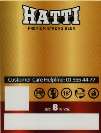 HATTI (and logo) trademark logo