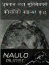 NAULO BURST (and logo) trademark logo