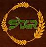 SDGR (and logo) trademark logo