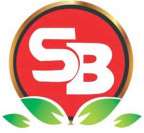 SB (and logo) trademark logo