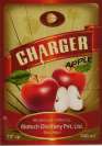 CHARGER (and logo) trademark logo