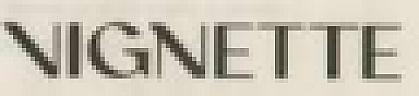 VIGNETTE (and logo) trademark logo