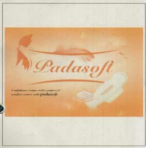 PADASOFT (and logo) trademark logo