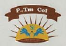 PAYTM COL (and logo) trademark logo