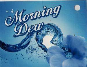 MORNING DEW (and logo) trademark logo