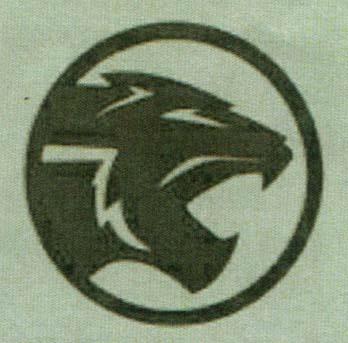 DEVICE MARK (and logo) trademark logo