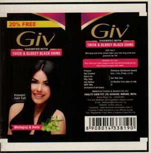 GIV (and logo) trademark logo