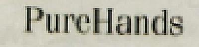 PureHands (and logo) trademark logo