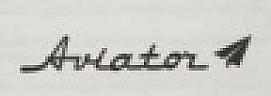 AVIATOR (and logo) trademark logo