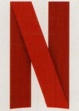 N (and logo) trademark logo