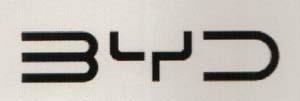 BYD (and logo) trademark logo