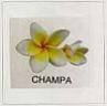 CHAMPA (and logo) trademark logo