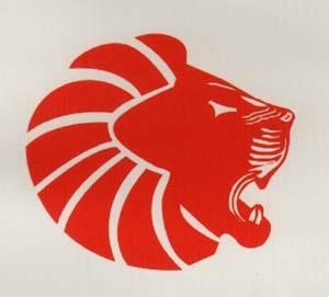 DEVICE MARK (and logo) trademark logo