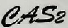 CAS2 (and logo) trademark logo