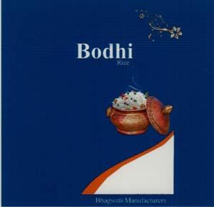 Bodhi (and logo) trademark logo
