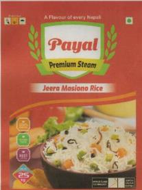 PAYAL (and logo) trademark logo