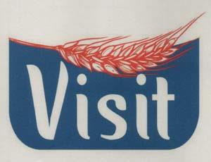 VISIT (and logo) trademark logo
