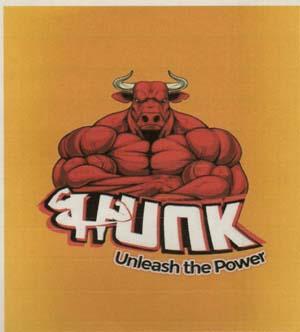 HUNK (and logo) trademark logo