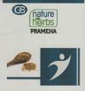 GB NATURE HERBS PRAMEHA (and logo) trademark logo