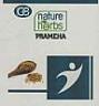GB NATURE HERBS PRAMEHA (and logo) trademark logo