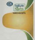 GB NATURE HERBS YARCHACEPS (and logo) trademark logo
