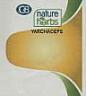 GB NATURE HERBS YARCHACEPS (and logo) trademark logo