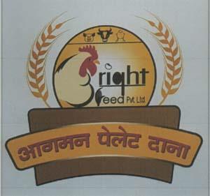 AGAMAN PELET DANA (and logo) trademark logo