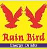 RAIN BIRD (and logo) trademark logo