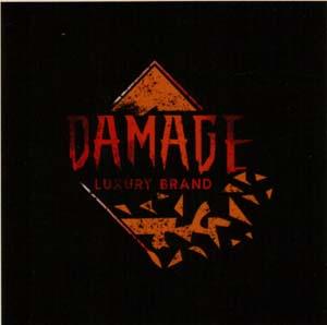 DAMAGE (and logo) trademark logo