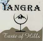 YANGRA (and logo) trademark logo