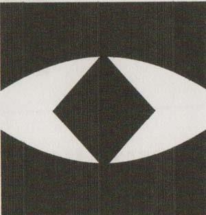 HIKMICRO (and logo) trademark logo
