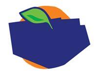 DEVICE (and logo) trademark logo