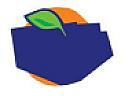 DEVICE (and logo) trademark logo
