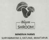 BLOOM N SHROOM (and logo) trademark logo