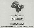 BLOOM N SHROOM (and logo) trademark logo