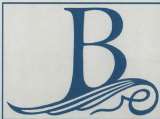 B and Devicemark (and logo) trademark logo