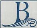 B and Devicemark (and logo) trademark logo