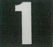 1 ICON (and logo) trademark logo