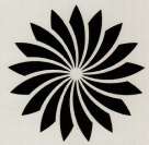 DEVICE MARK trademark logo
