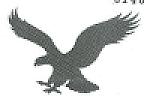 DEVICE OF EAGLE (and logo) trademark logo