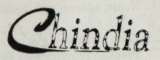 CHINDIA (and logo) trademark logo