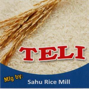 TELI (and logo) trademark logo